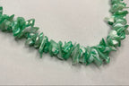 Collier Coquillage Puka
